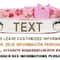 Personalized Cat Collar With Safety Buckle And Engraved Nameplate 7