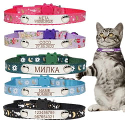personalized cat collar with safety buckle and engraved nameplate
