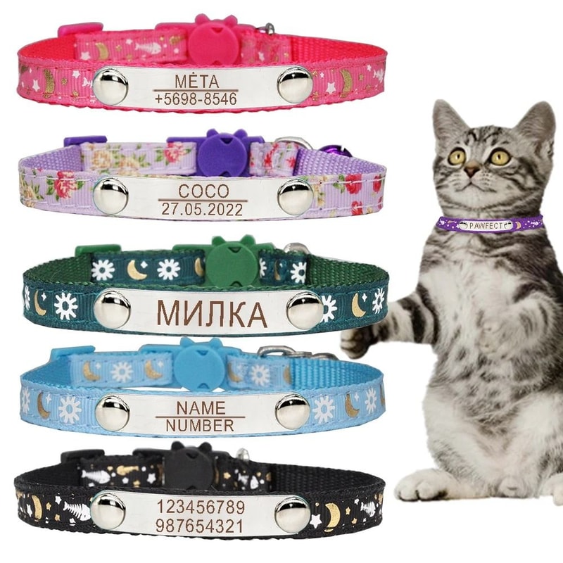 Personalized Cat Collar With Safety Buckle And Engraved Nameplate 0
