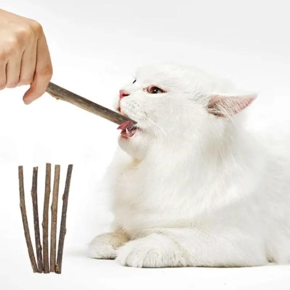Natural Silvervine Cat Chew Sticks For Dental Play And Enrichment 1