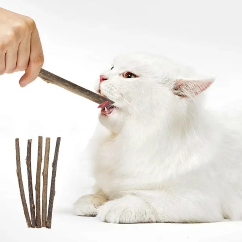 Natural Silvervine Cat Chew Sticks For Dental Play And Enrichment 1