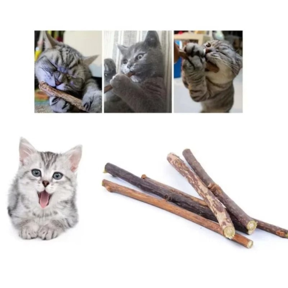 Natural Silvervine Cat Chew Sticks For Dental Play And Enrichment 3