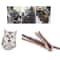 Natural Silvervine Cat Chew Sticks For Dental Play And Enrichment 3