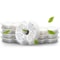 Activated Carbon Cat Water Fountain Replacement Filters 2