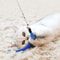 Cat Feather Wand Replacement Set For Interactive Play 1
