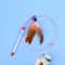 Metal Wire Cat Teaser Wand With Feather And Bell 4
