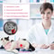 Cat Surgery Recovery Suit For Spay Neuter Care And Anti Licking Protection 8