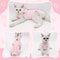 Cat Surgery Recovery Suit For Spay Neuter Care And Anti Licking Protection 5