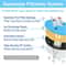 Activated Carbon Cat Water Fountain Filters For 15L Transparent Pet Dispensers 5