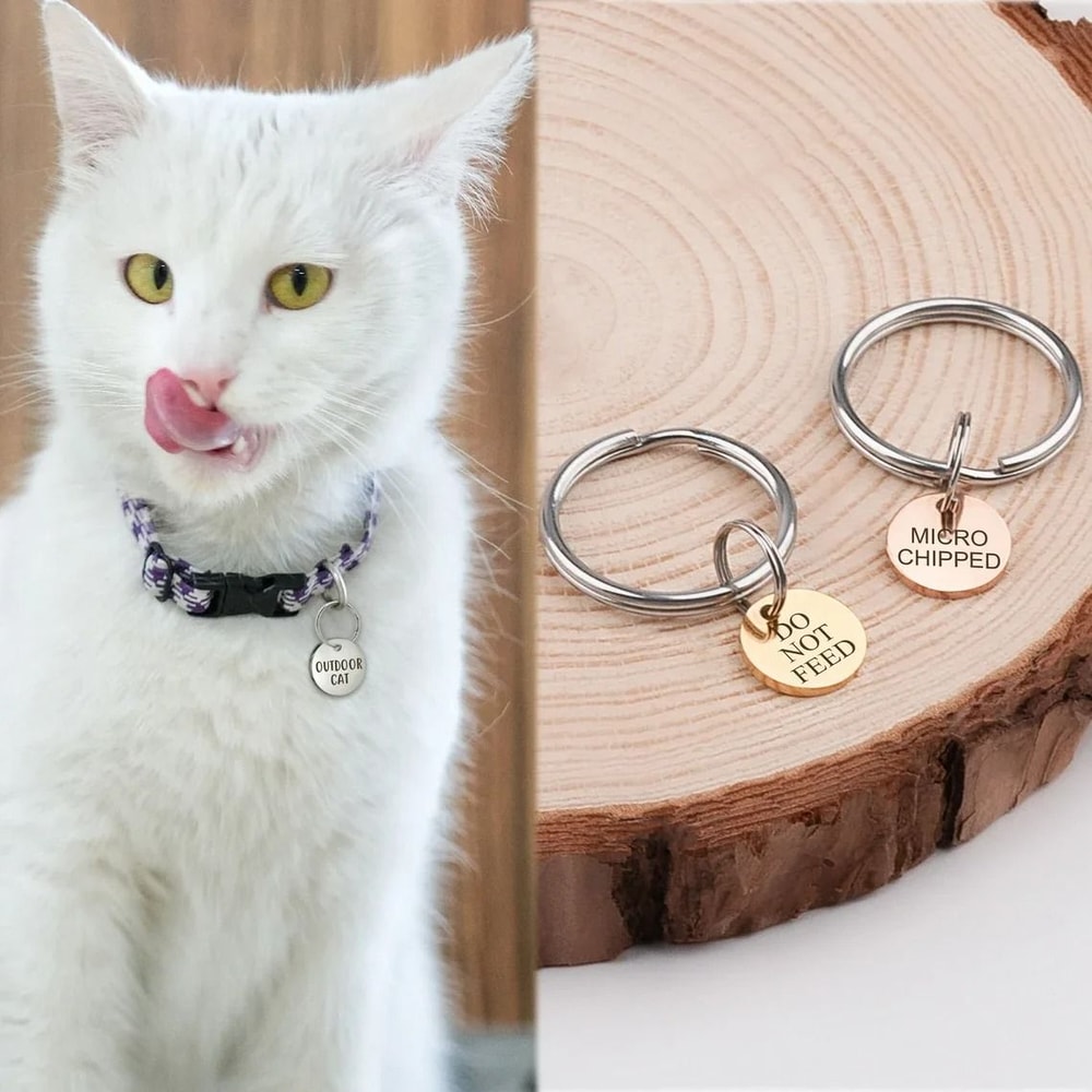 Personalized Mini Pet ID Tag For Cats Puppies And Anti Lost Collar Safety 6