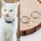 Personalized Mini Pet ID Tag For Cats Puppies And Anti Lost Collar Safety 6