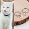 Personalized Mini Pet ID Tag For Cats Puppies And Anti Lost Collar Safety 6