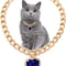 Luxury Gold Pet Necklace With Heart Diamond Pendant For Cats And Small Dogs 3