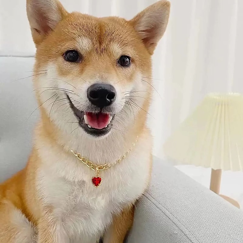 Luxury Gold Pet Necklace With Heart Diamond Pendant For Cats And Small Dogs 5