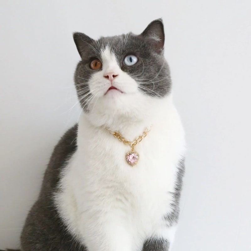 Luxury Gold Pet Necklace With Heart Diamond Pendant For Cats And Small Dogs 6