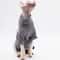 Four Legged Sphynx Cat Clothes For Hairless Cats Devon Rex And Small Cats 3