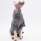 Four Legged Sphynx Cat Clothes For Hairless Cats Devon Rex And Small Cats 3