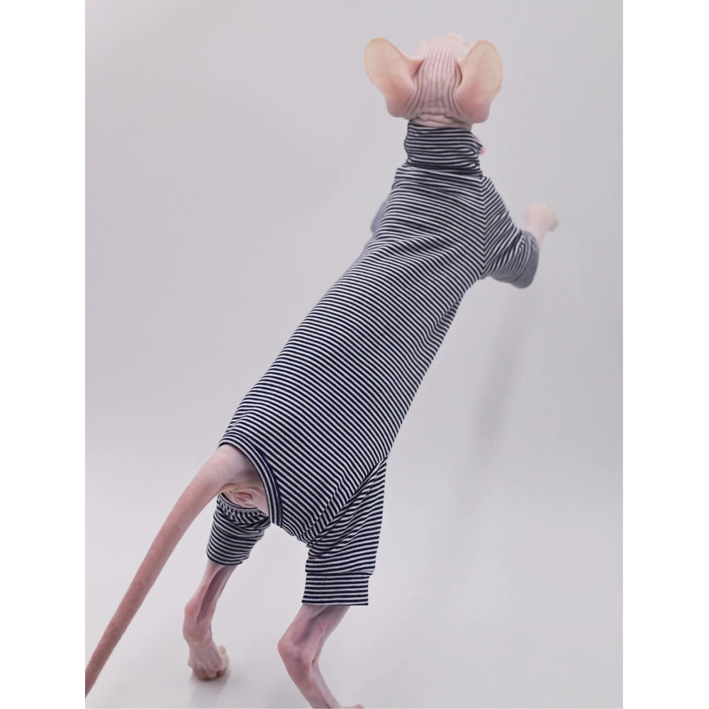 Four Legged Sphynx Cat Clothes For Hairless Cats Devon Rex And Small Cats 4