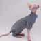 Four Legged Sphynx Cat Clothes For Hairless Cats Devon Rex And Small Cats 5