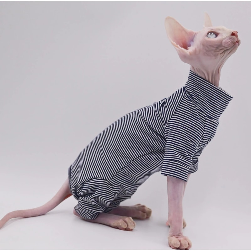 Four Legged Sphynx Cat Clothes For Hairless Cats Devon Rex And Small Cats 5