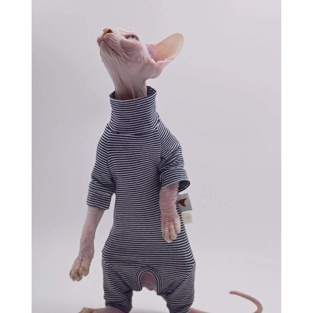 Four Legged Sphynx Cat Clothes For Hairless Cats Devon Rex And Small Cats 6