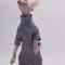 Four Legged Sphynx Cat Clothes For Hairless Cats Devon Rex And Small Cats 6