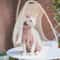 Striped Cotton Winter Cat Jumpsuit For Sphynx Devon Rex Kittens And Small Cats 3