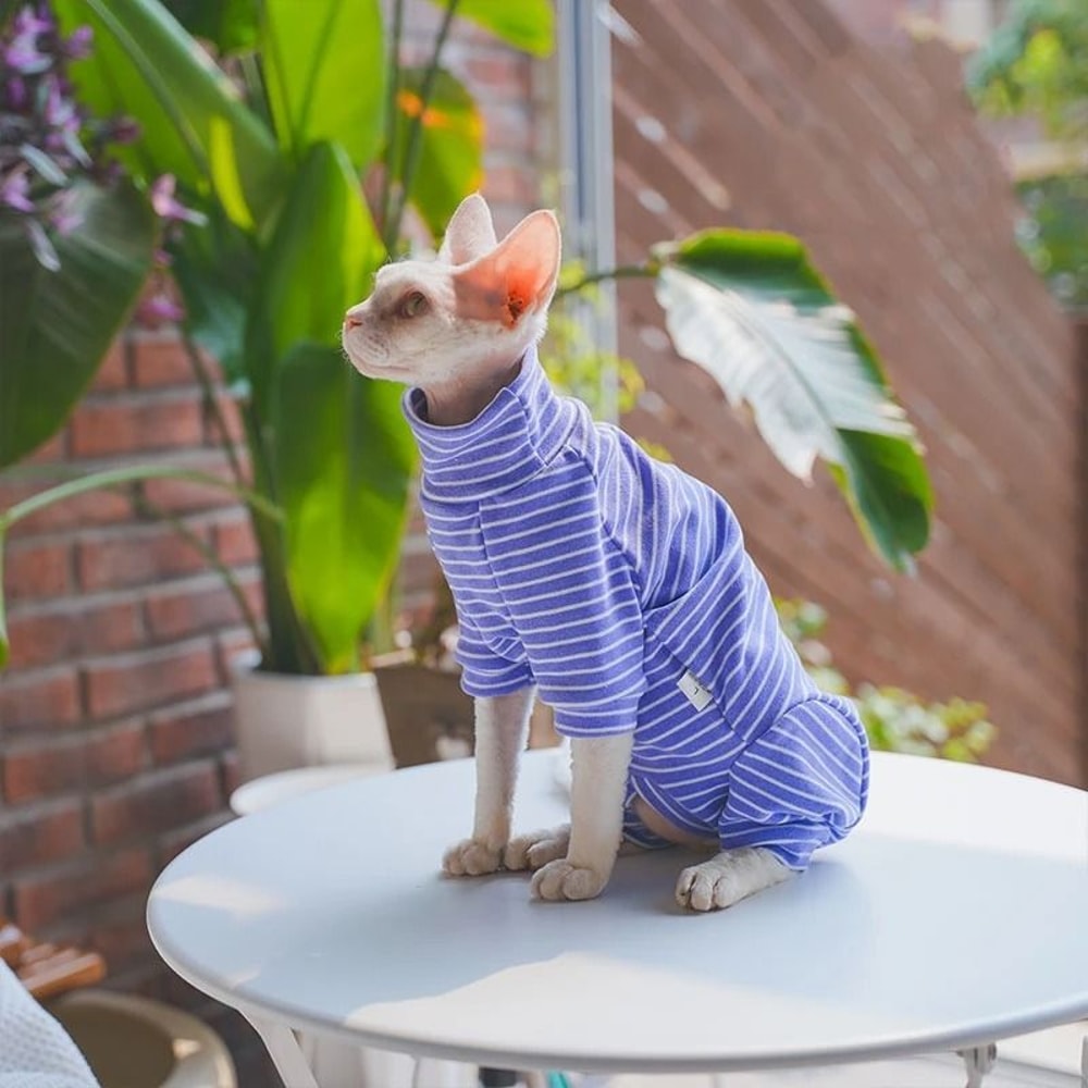 Striped Cotton Winter Cat Jumpsuit For Sphynx Devon Rex Kittens And Small Cats 1
