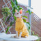Striped Cotton Winter Cat Jumpsuit For Sphynx Devon Rex Kittens And Small Cats 2