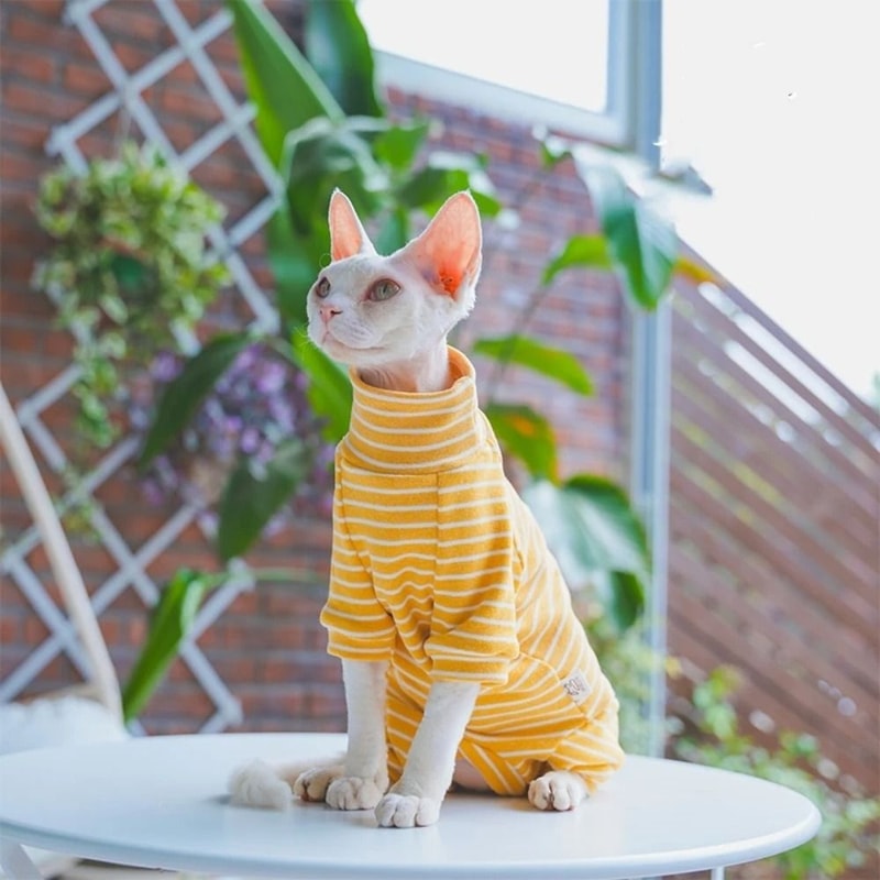 Striped Cotton Winter Cat Jumpsuit For Sphynx Devon Rex Kittens And Small Cats 2
