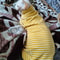 Striped Cotton Winter Cat Jumpsuit For Sphynx Devon Rex Kittens And Small Cats 4