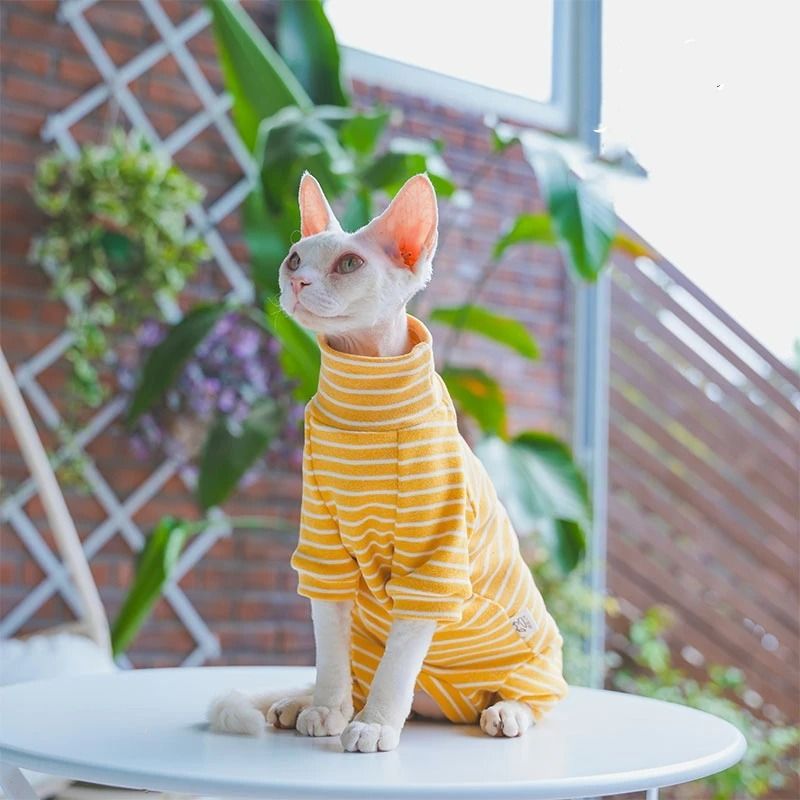 Striped Cotton Winter Cat Jumpsuit For Sphynx Devon Rex Kittens And Small Cats 6