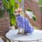 Striped Cotton Winter Cat Jumpsuit For Sphynx Devon Rex Kittens And Small Cats 7