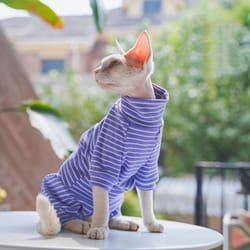 striped cotton winter cat jumpsuit for sphynx devon rex kittens and small cats
