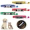Reflective Personalized Nylon Pet Collar With Engraved ID For Cats Puppies And Small Dogs 16