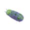 Automatic Electric Bug Cat Toy For Interactive Chasing And Indoor Play 4