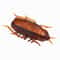 Automatic Electric Bug Cat Toy For Interactive Chasing And Indoor Play 5