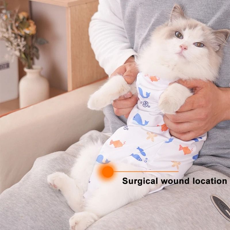 Cat Weaning Recovery Suit For Sterilization Care And Anti Licking Protection 2