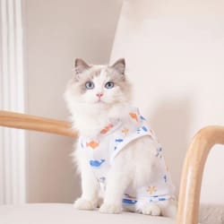 cat weaning recovery suit for sterilization care and anti licking protection