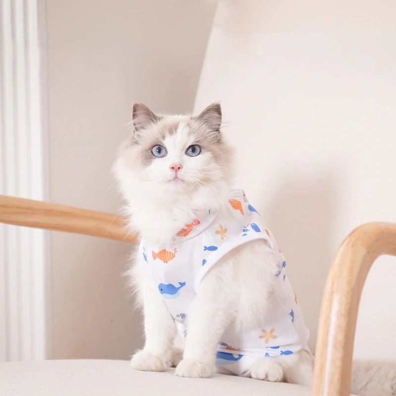 Cat Weaning Recovery Suit For Sterilization Care And Anti Licking Protection 0