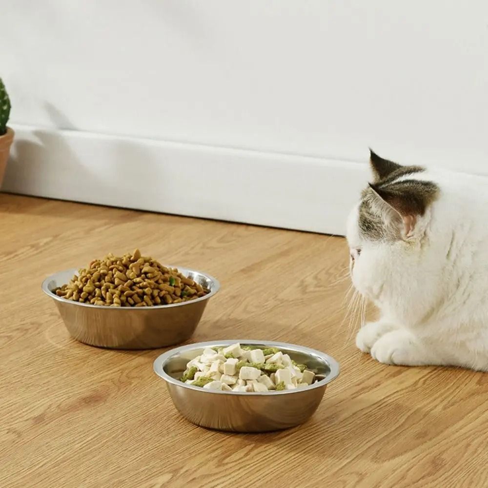 Large Capacity Stainless Steel Pet Bowl For Dogs Cats Food And Water Feeding 6