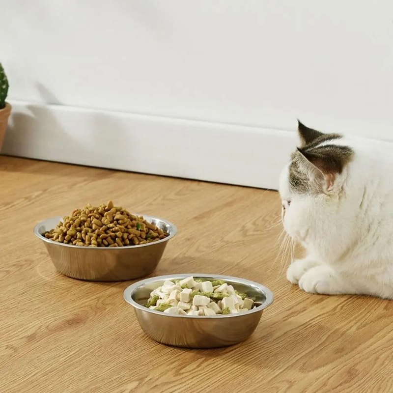 Large Capacity Stainless Steel Pet Bowl For Dogs Cats Food And Water Feeding 6