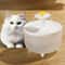 USB Quiet 1L Cat Water Fountain With Filter For Automatic Pet Drinking 1