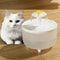USB Quiet 1L Cat Water Fountain With Filter For Automatic Pet Drinking 1