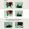 USB Quiet 1L Cat Water Fountain With Filter For Automatic Pet Drinking 6