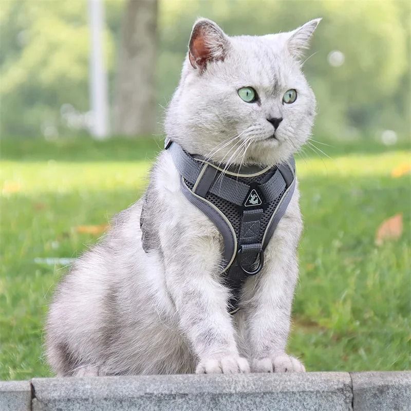 Reflective Cat Dog Harness And Leash Set For Small Pets Outdoor Walking 14