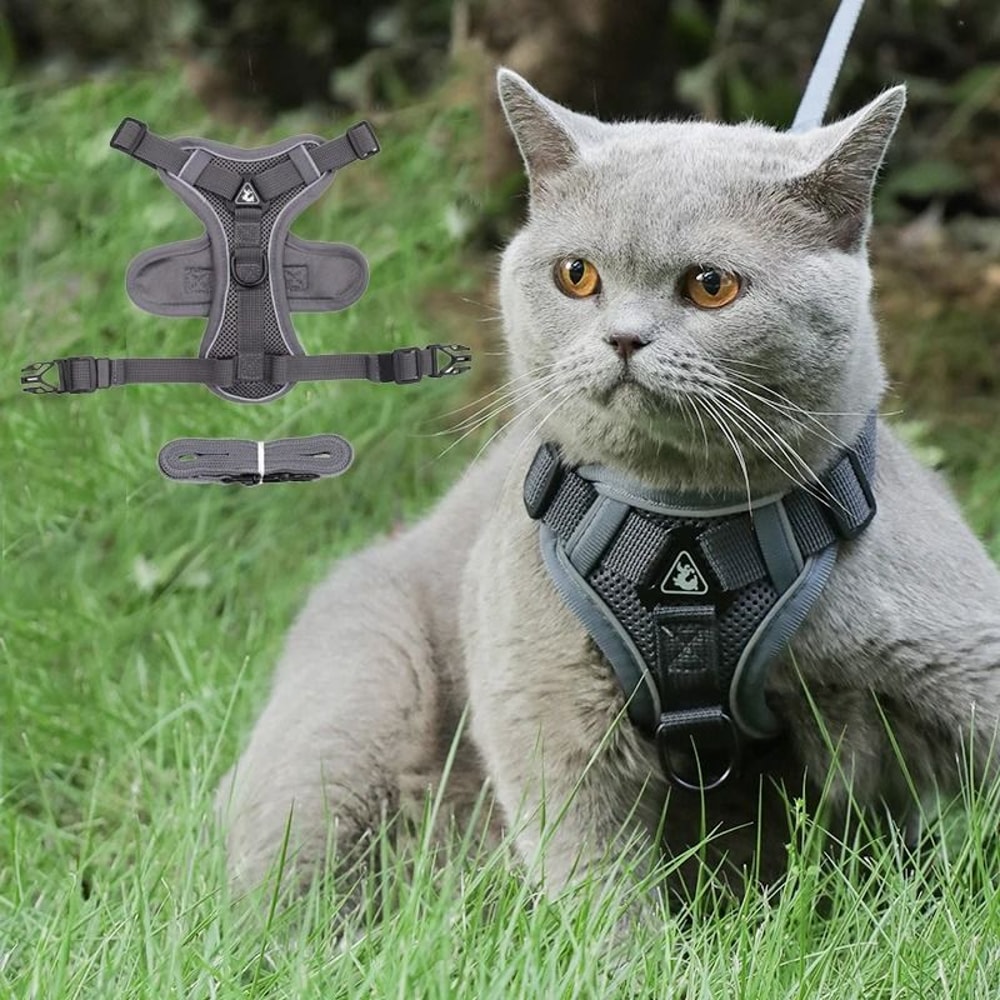 Reflective Cat Dog Harness And Leash Set For Small Pets Outdoor Walking 0