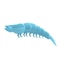 Catnip Toothbrush Chew Toy For Kitten Dental Cleaning And Interactive Play 2