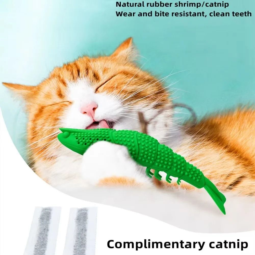 Catnip Toothbrush Chew Toy For Kitten Dental Cleaning And Interactive Play 5