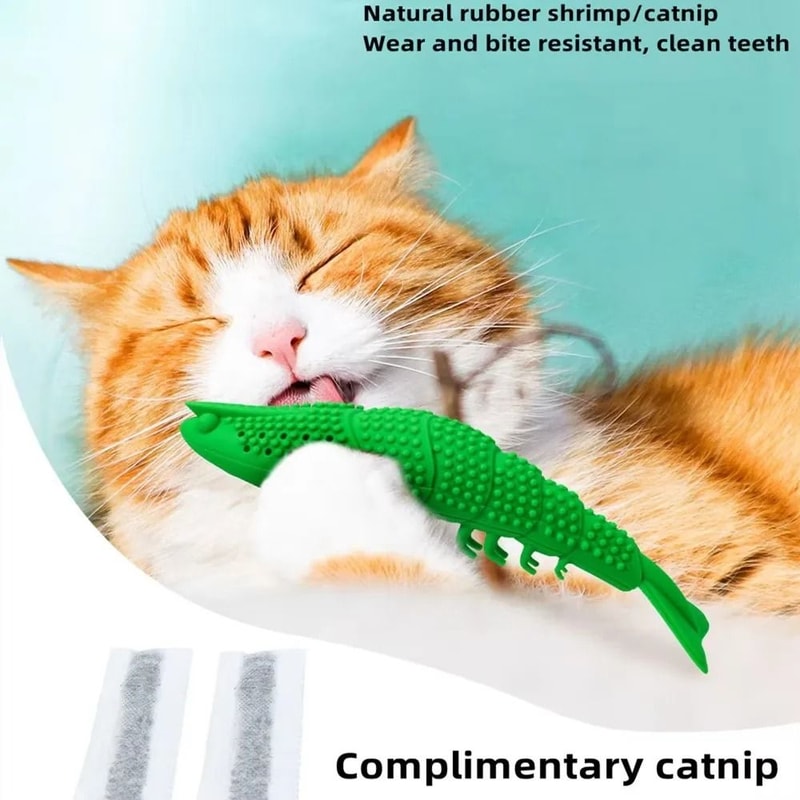 Catnip Toothbrush Chew Toy For Kitten Dental Cleaning And Interactive Play 5